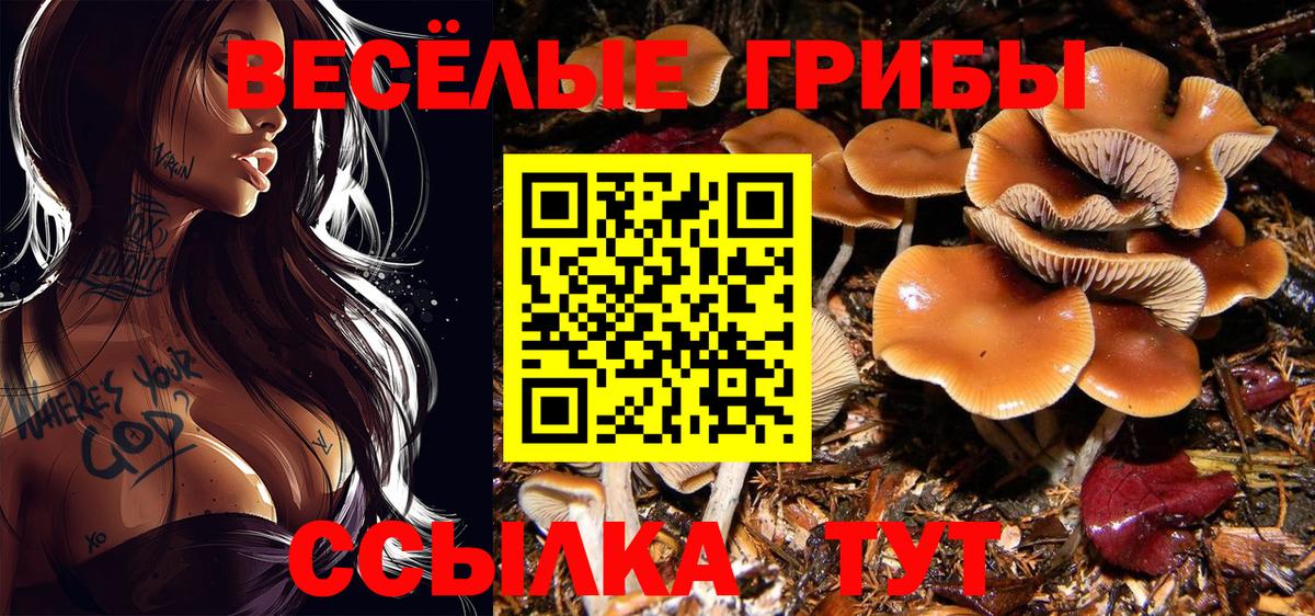 Галлюциногенные грибы GOLDEN TEACHER  Вход с VPN  Северобайкальск 
